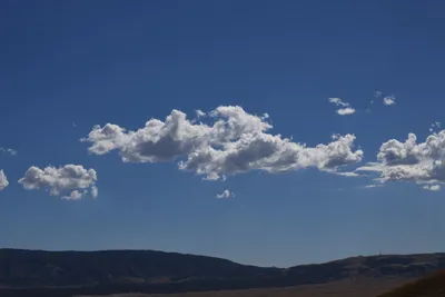 DSC_2284 (Large).JPG